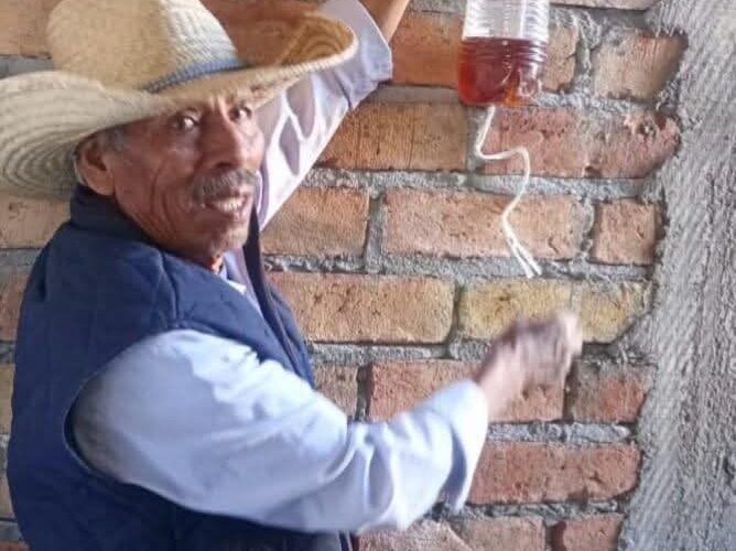 Sagadegro mantiene acciones coordinadas con beneficiarios del programa Sembrando Vida