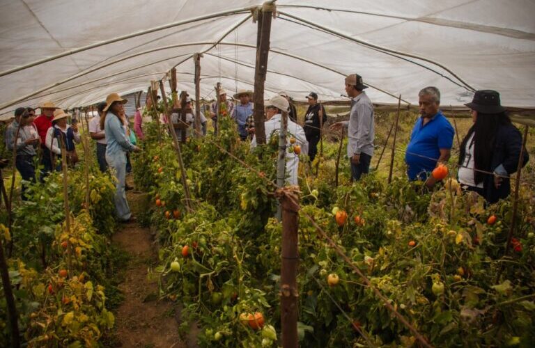 SAGADEGRO impulsa prácticas agroecológicas para fortalecer la producción sustentable