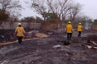 Emite gobierno de Guerrero llamado a los ayuntamientos para fortalecer prevención de incendios forestales