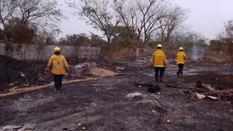 Emite gobierno de Guerrero llamado a los ayuntamientos para fortalecer prevención de incendios forestales