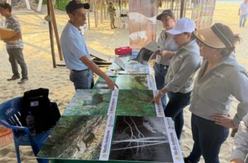 Fortalecen conservación ambiental con limpieza de playas en Pie de la Cuesta