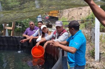 Sagadegro y Sembrando Vida realizan en Omiltemi siembra de trucha arcoíris