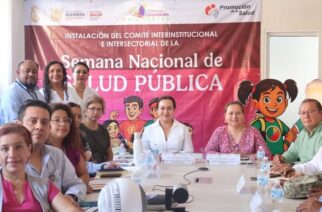 Instalan Comité Interinstitucional e Intersectorial para coordinar la Semana Nacional de Salud Pública 2026 en Guerrero
