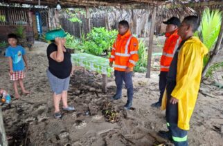 SGIRPCGRO reportó daños menores por el paso de la Tormenta Tropical “Boris” en Guerrero
