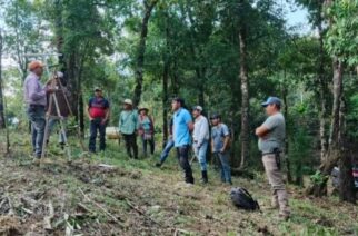 Apoya Sagadegro a cafeticultores de Tecpan de Galeana