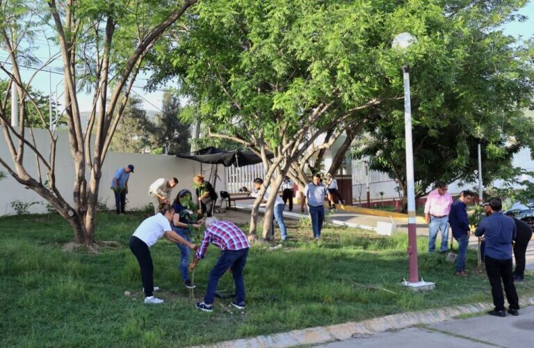 La SEMAREN realiza jornada de reforestación en el Hospital de la Madre y el Niño Guerrerense